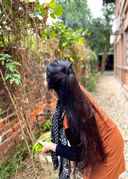 Nữ nghệ sĩ hái đậu rồng để nấu ăn.