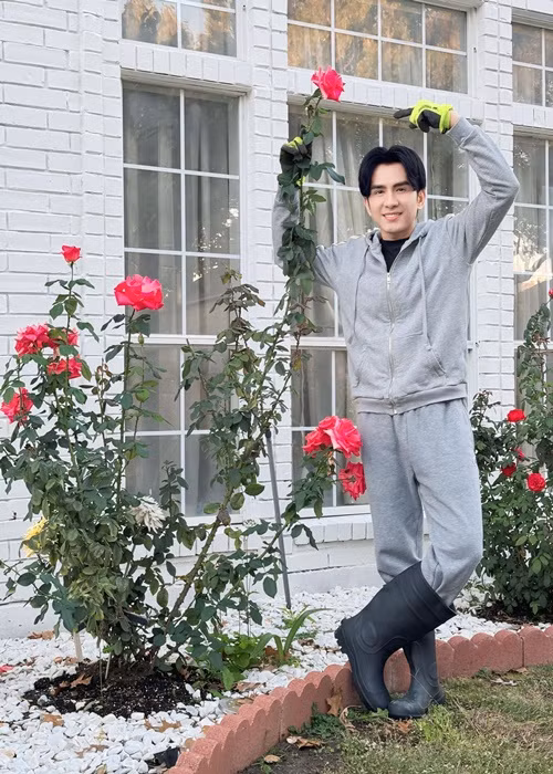 Đan Trường cho biết, trong 2 năm qua, anh trồng đủ các loại hoa, cây ăn trái, nhưng với thời tiết khắc nghiệt ở Dallas, bang Texas, cây nào cũng chết, ngoại trừ hoa hồng. Ảnh FB Đan Trường.