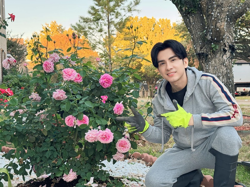 "Lúc mua mấy chậu chỉ có 2-3 cây bông hồng thấp tới đầu gối mà giờ nở ra sum suê cao hơn cả mình", Đan Trường cho hay. Ảnh FB Đan Trường.