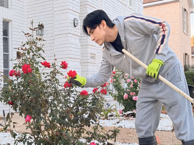 Mới đây, trên trang cá nhân, ca sĩ Đan Trường khoe loạt ảnh chăm chút vườn hồng trong biệt thự ở Mỹ. Ảnh FB Đan Trường.