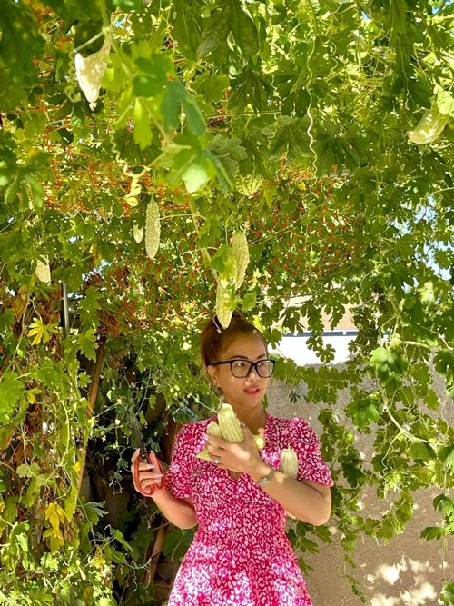 Nữ ca sĩ chia sẻ hình ảnh hái mướp đắng để nấu ăn.