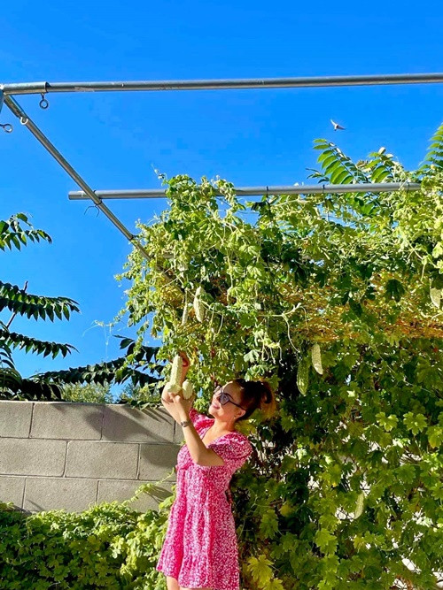 Minh Tuyết thích thu hoạch rau trái trong vườn.