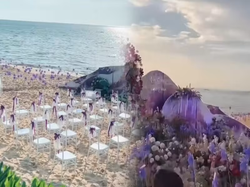  Thanh Đoàn - Hà Trí Quang tổ chức đám cưới ở Phú Quốc vào chiều tối ngày 6/11. Không gian hôn lễ ngập tràn hoa tươi, mang tông màu trắng tím. Ảnh: Người Đưa Tin.