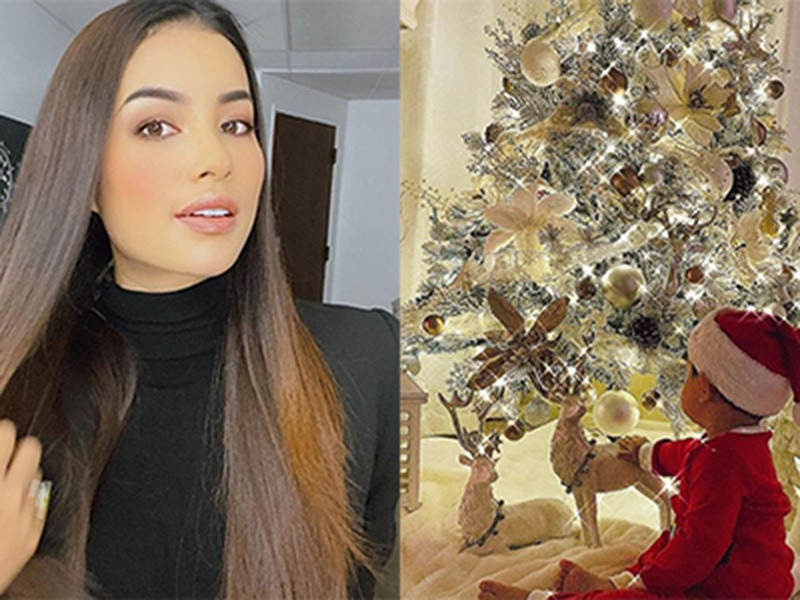 Tháng 12/2019, Phạm Hương công khai con trai 1 tuổi. Đối với người hâm mộ lẫn khán giả nói chung, thông tin này gây sốc bởi người đẹp liên tục chối chuyện bầu bí, sinh con. Ảnh: Instagram Phạm Hương.