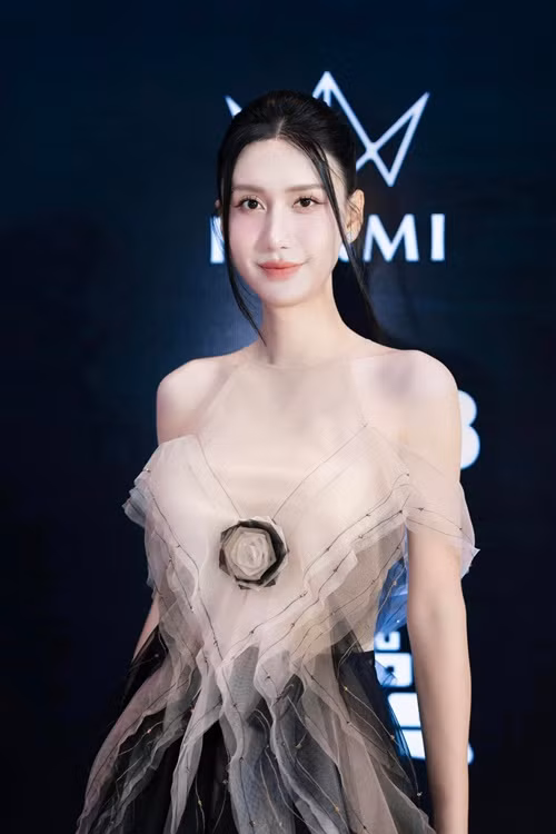 Trước khi thi nhan sắc, Lynk Lee đã chỉnh sửa nhiều điểm trên cơ thể như nhấn mí, sửa mũi, tiêm filler má, cằm và môi, sửa khung xương mặt, gọt hàm, hạ đường chân tóc, trượt cằm, căng da mặt, nâng ngực, cắt yết hầu, phẫu thuật thanh quản.