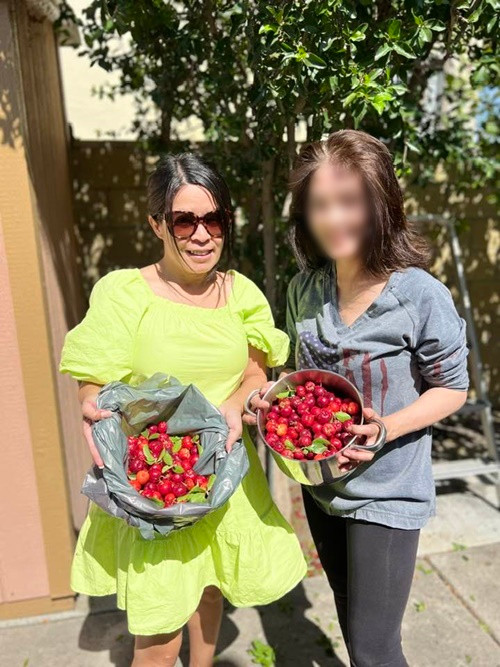 Nữ ca sĩ khoe thu hoạch hoa quả trong vườn. Ảnh: FB Bích Tuyền.