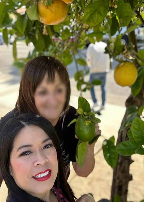 Biệt thự của nữ ca sĩ còn trồng nhiều loại cây ăn quả. Ảnh: FB Bích Tuyền.