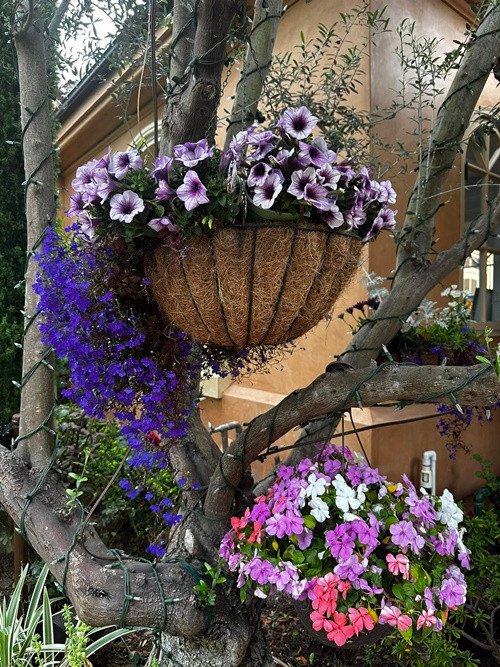 Trên trang cá nhân, Bích Tuyền thường xuyên đăng tải hình ảnh nơi ở ngập tràn hoa tươi. Ảnh: FB Bích Tuyền.