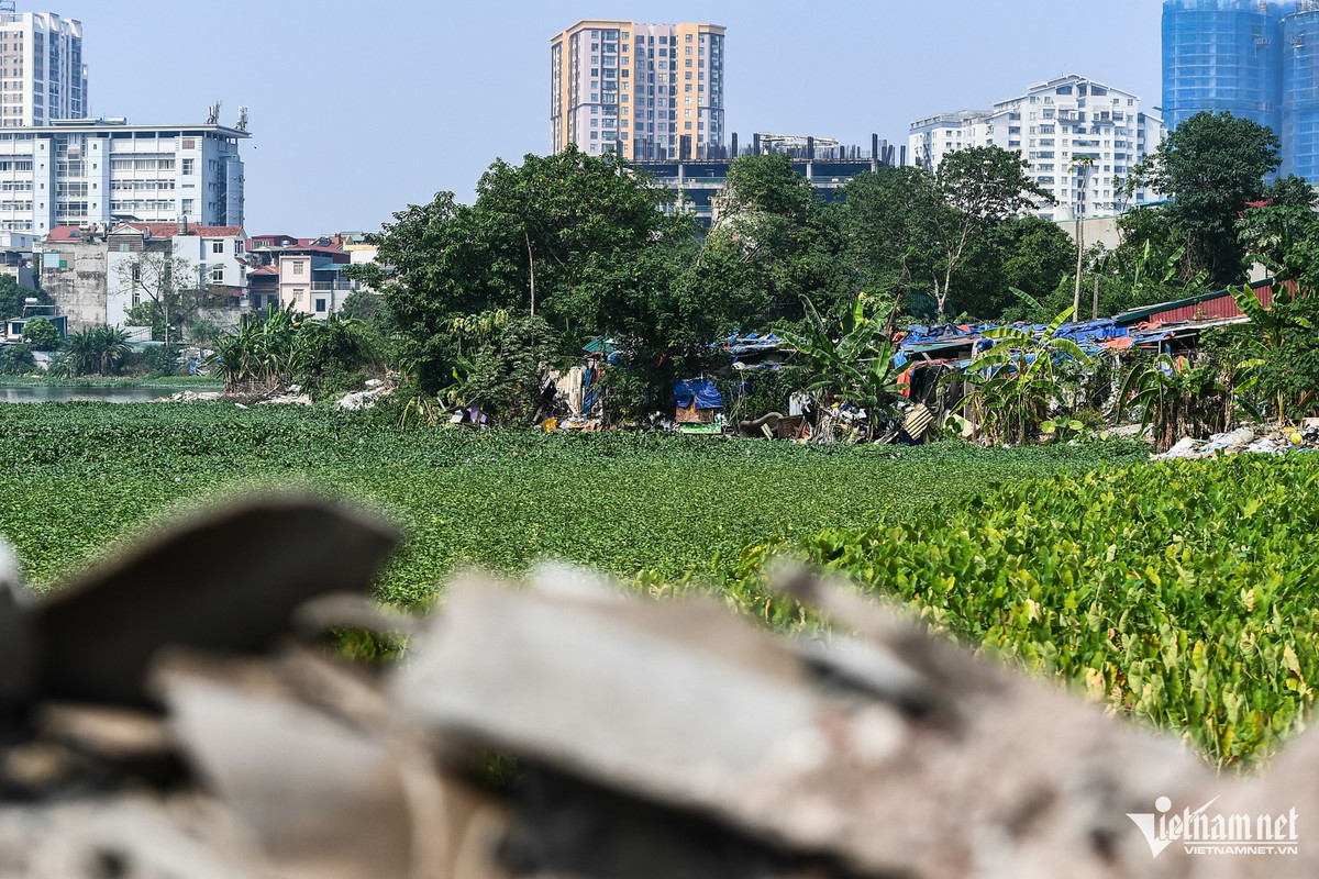 Khu vực Đầm Đỗi có nguồn gốc là đất nông nghiệp giao cho các hộ xã viên theo Nghị định 64/NĐ-CP để sản xuất nông nghiệp với diện tích khoảng 104.105m2, là khu vực ruộng trũng và đất mặt nước. Hiện, nơi đây đứng trước tình cảnh có thể bị xóa sổ trước nạn đổ trộm phế thải và san lấp mặt đầm.