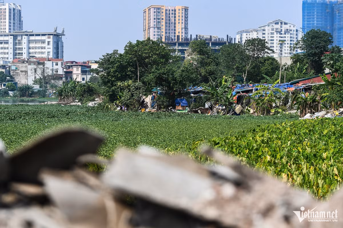 Khu vực Đầm Đỗi có nguồn gốc là đất nông nghiệp giao cho các hộ xã viên theo Nghị định 64/NĐ-CP để sản xuất nông nghiệp với diện tích khoảng 104.105m2, là khu vực ruộng trũng và đất mặt nước. Hiện, nơi đây đứng trước tình cảnh có thể bị xóa sổ trước nạn đổ trộm phế thải và san lấp mặt đầm.