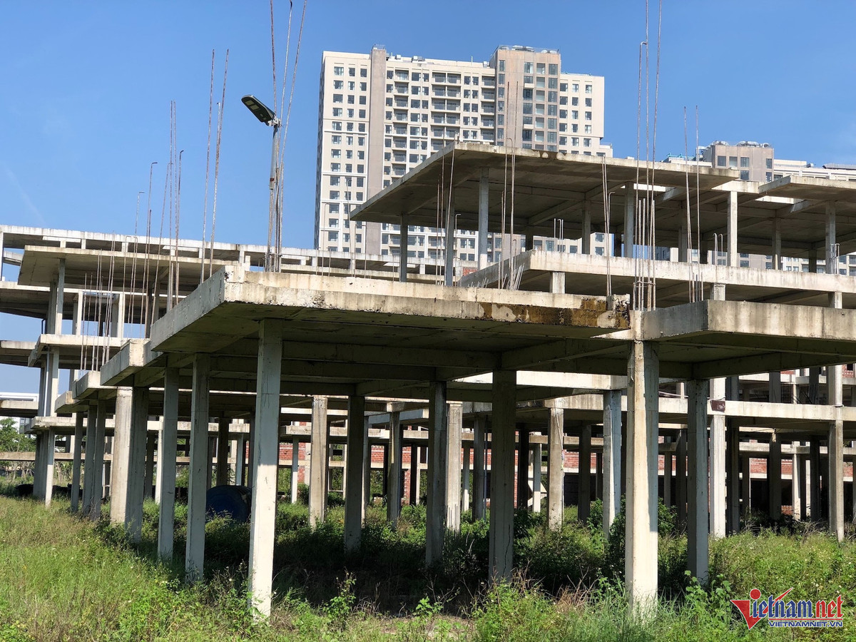 Du an Cocobay van nam im sau nua nam thong bao tai khoi dong-Hinh-2