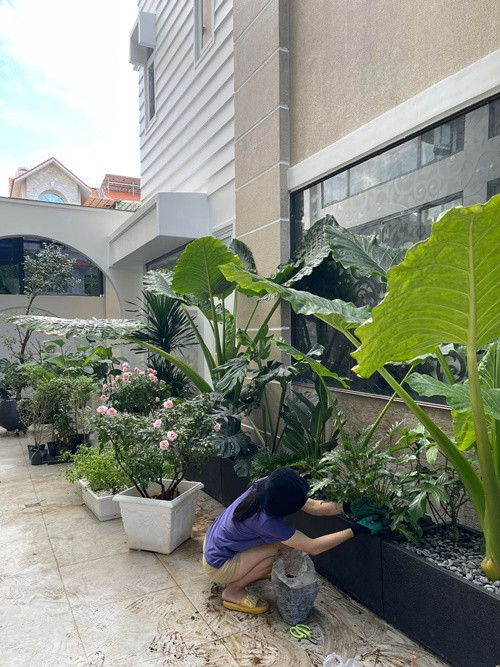 Nữ diễn viên thường xuyên chăm sóc cây xanh trong cơ ngơi rộng rãi.