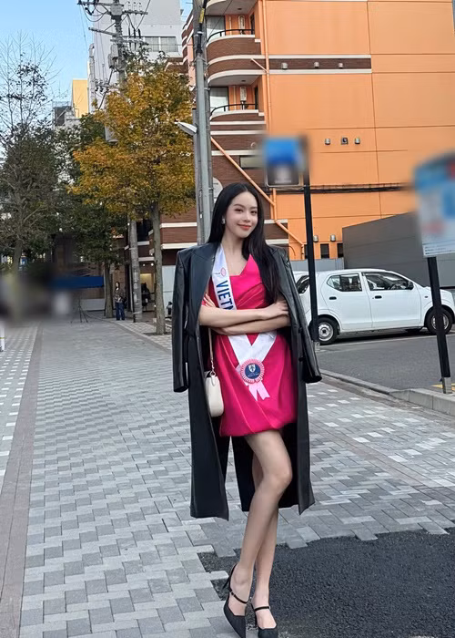 Đại diện Việt Nam diện chiếc đầm hồng gợi cảm trong một hoạt động của cuộc thi. Ảnh: FB Thanh Thủy.