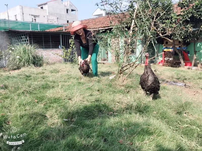 Nữ diễn viên nuôi chó, mèo, khỉ, gà trong cơ ngơi rộng rãi.