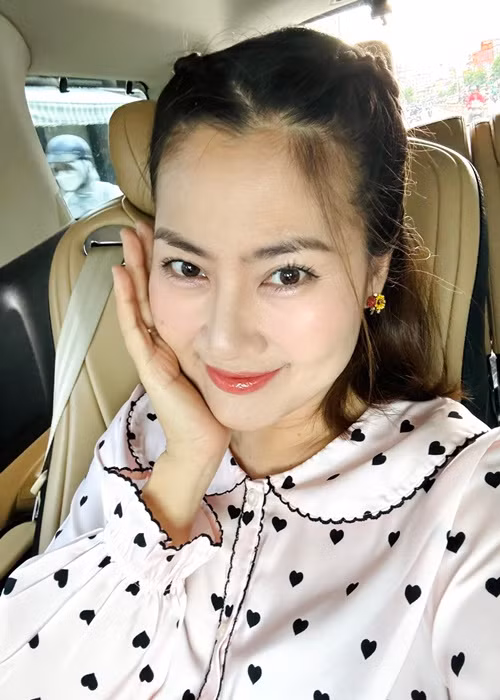 “Hãy thông cảm cho mình vì mình chỉ được chọn hai trong ba công việc, cha, mẹ, diễn xuất. Công việc làm cha và làm mẹ khó quá nên mình cần tập trung hơn thì mới làm tốt hai công việc đó được, còn công việc diễn xuất mình đã làm được 21 năm rồi nên cho mình ngưng xíu”, Ngọc Lan chia sẻ.