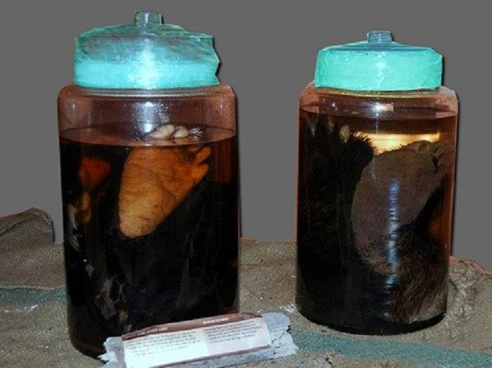 ...tay gấu… khiến nhiều người phải rùng mình nhưng đối với các quý ông yếu sinh lý thì đó lại là “liều thuốc tiên” Mời độc giả xem video: 70% nguyên nhân tai nạn giao thông do rượu, bia. Nguồn: VTC1.