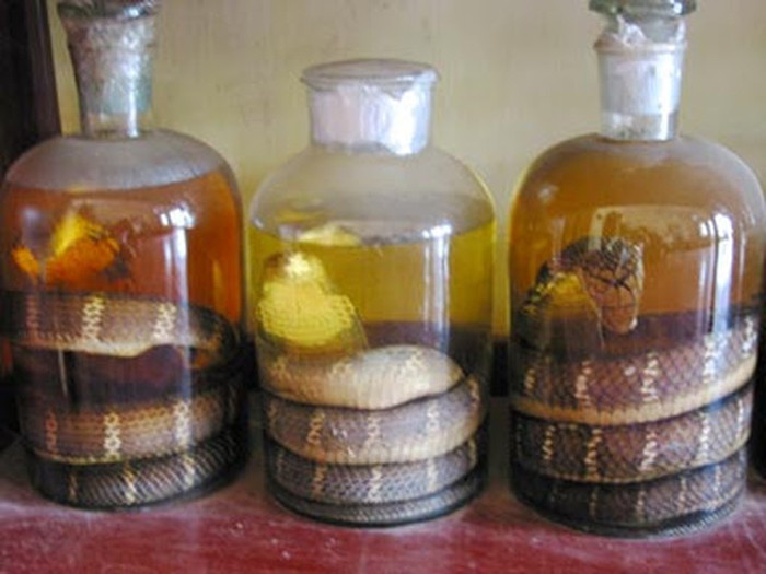 Đặc biệt ngâm rượu rắn toàn tính (rượu ngâm cả con), xương rắn có tác dụng tốt cho xương khớp. Trong khi phần thận rắn mang lại lợi ích tăng cường sinh lý nam giới. Dù vậy những người có bệnh nội khoa, nhất là các bệnh suy thận, tăng huyết áp, bệnh gan, tim mạch thì không nên sử dụng rượu và thịt rắn.