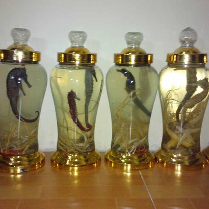 Rượu cá ngựa. Rượu cá ngựa cũng được cánh mày râu lùng mua để cải thiện phong độ đàn ông. Nguyên nhân bởi cá ngựa chứa nhiều dưỡng chất tốt cho sức khỏe như Omega-3, nguyên tố vi lượng và các loại acid amin khác. Đặc biệt, thành phần enzyme prostaglandin bên trong cá ngựa còn có tác dụng kích thích cơ thể tiết ra hormone oxytocin, rất cần thiết cho cơ quan sinh dục nam.