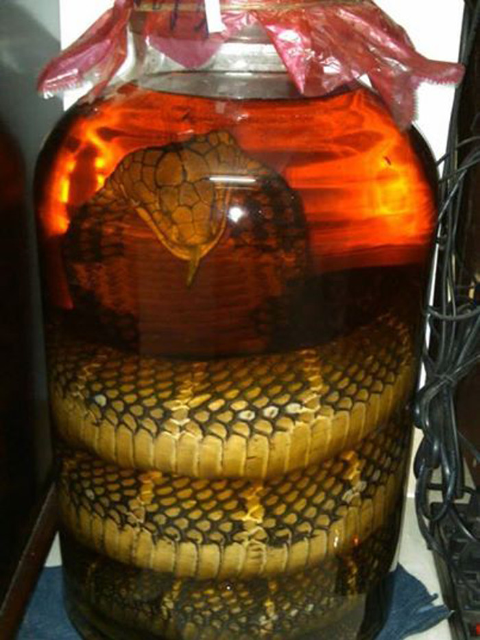 Rượu rắn. Nhiều người cho rằng, sự oai phong của các loài rắn độc có quan hệ mật thiết tới tăng khả năng sinh lý phái mạnh. Vì vậy, các loại rắn càng độc, càng hiếm thì càng được săn lùng ráo riết để buôn bán.