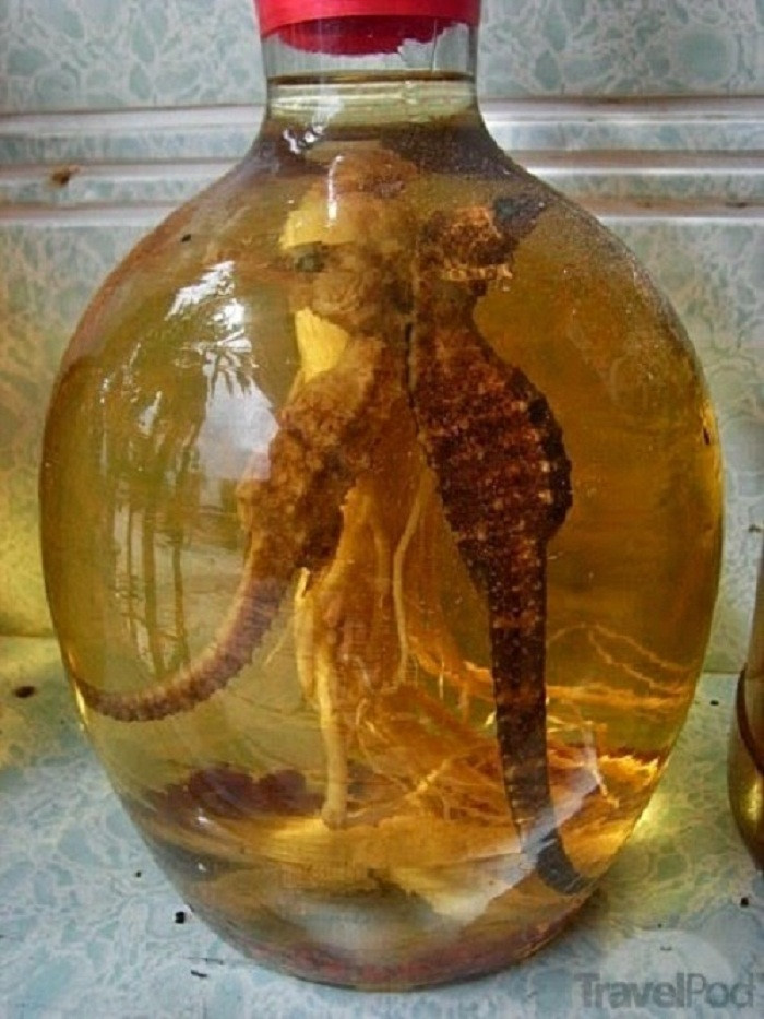 Đặc biệt, cá ngựa tính ấm kết hợp cùng các vị thuốc Đông y mang đến tác dụng bổ thận tráng dương, điều hòa khí huyết, kích thích ham muốn tình dục vượt trội hơn hẳn.