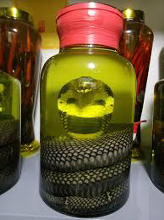 Rượu rắn được đánh giá tốt cho các trường hợp thận dương kém, đau xương khớp, đau dây thần kinh ngoại biên, suy yếu sinh lý, liệt dương, tiết tinh sớm, thần kinh suy giảm.