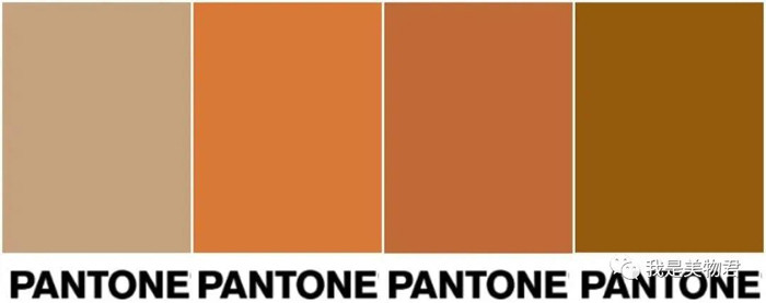 Dù có phổ màu trải rộng song phụ nữ châu Á nên chọn các set đồ màu nâu camel, màu lá phong, kaki, xám...