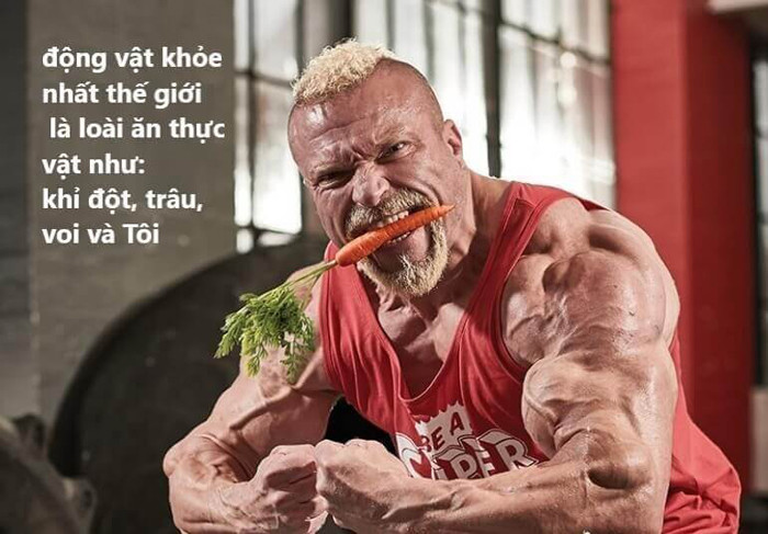 Barny du Plesis cũng là người góp phần “thổi bay” quan niệm ăn nhiều thịt cá mới tạo được múi cơ. Barny du Plesis là vận động viên thể hình chuyên nghiệp tại Anh, từng giành giải nhất cuộc thi Mr Universal năm 2014 với trọng lượng cơ thể lên tới 107kg.