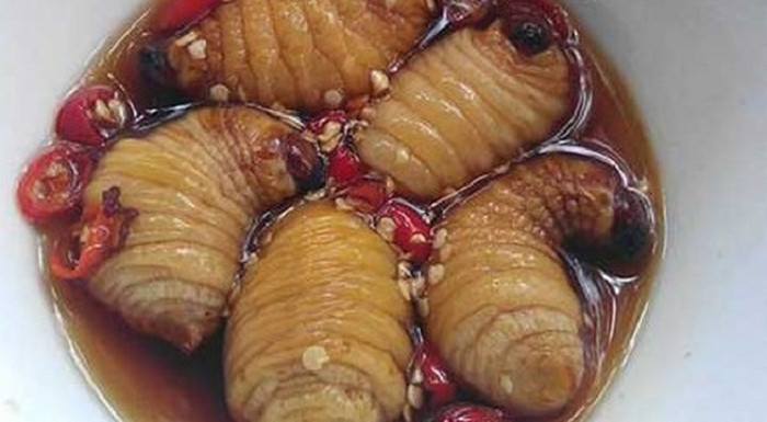 Trái lại, họ cho rằng đưa chú đuông béo ngậy, cắn ngập răng mang lại cảm giác phấn khích “hiếm có khó tìm”.