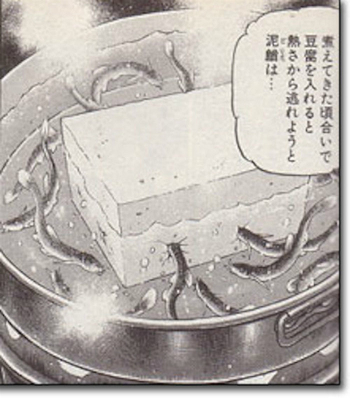 Với công thức nấu món ăn từ đậu phụ cực tàn nhẫn này, những con cá chạch đã phải trải qua 3 "kiếp nạn": bị đun trong nước nóng, bị khóa chặt trong miếng đậu phụ và bị ăn khi vẫn còn thoi thóp.