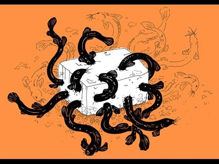 Sự tàn ác của món ăn thể hiện ở chỗ, đầu tiên, đầu bếp sẽ cho nước lạnh vào một chiếc nồi và thả những con chạch nhỏ để chúng bơi lội trong làn nước mát.