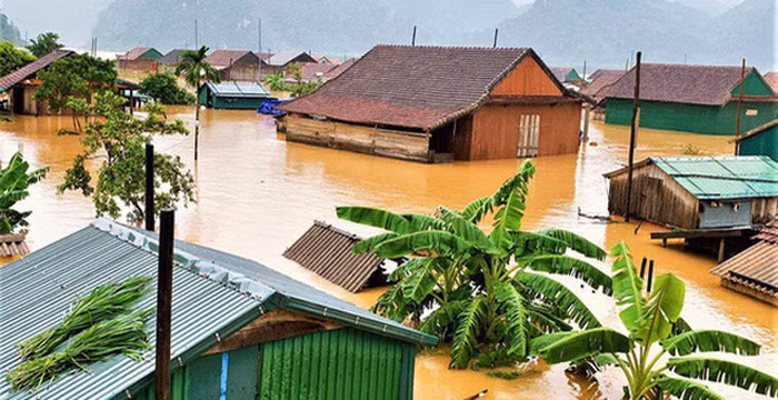 Lựa chọn thực phẩm an toàn. Khi lựa chọn thực phẩm, người dân tuyệt đối không sử dụng gia súc, gia cầm, thủy sản chết không rõ nguyên nhân. lý do bởi, trong và sau mưa, lũ lụt, vô số vi sinh vật từ đất, bụi, rác, chất thải... nhanh chóng hòa vào dòng nước, làm ô nhiễm môi trường và lây lan bệnh tật.