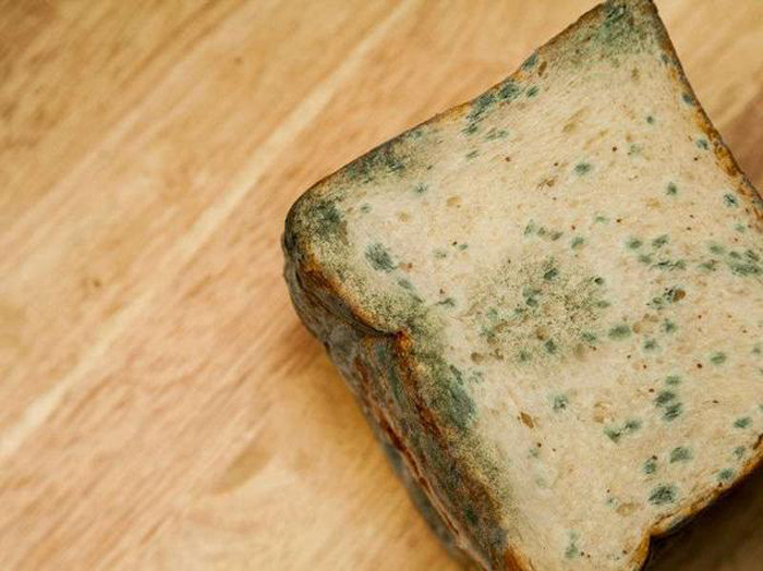 Một điều cần đặc biệt chú ý là vấn đề nhiễm nấm ở đồ ăn. Các loại thực phẩm như bánh mì, lạc, ngũ cốc rất dễ nhiễm nấm khi bảo quản trong môi trường nhiều hơi nước. Đôi khi chúng rất khó phát hiện song khi đi vào cơ thể, nó nhanh chóng “đầu độc” gan, đây được xem là kiểu ăn sáng gây ung thư gan nguy hiểm.