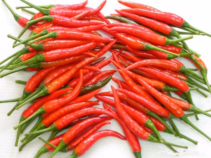 Đặc biệt, không nên kết hợp dầu hào với các loại gia vị cay như ớt, tiêu, tương ớt... Nếu sử dụng, vị dầu hào nhanh chóng áp đảo vị cay, làm món ăn có mùi lạ vô cùng lãng phí. Mời độc giả xem video: Dùng dầu thực vật có thực sự an toàn . Nguồn: VTC14.