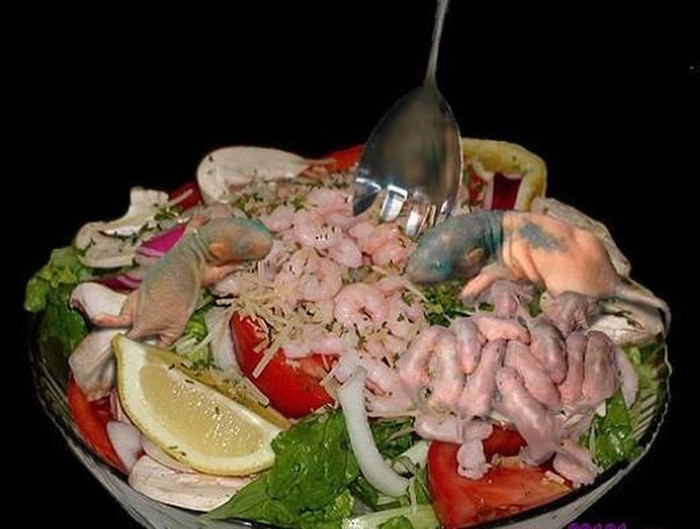 Những con chuột non trước đó được cho ăn mật ong để thịt chúng ngấm dần trở nên đậm đà, "ngọt" hơn, sau đó để sống nguyên con ngoe nguẩy trên đĩa.