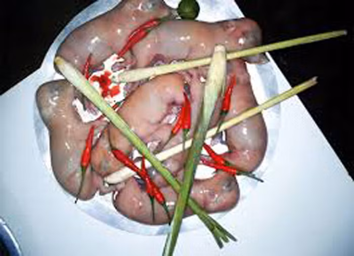 Món ăn kinh dị nhưng lại được tin rằng những món làm từ bào thai động vật hoặc con vật dạng bào tử có tác dụng lớn trong việc tăng cường sinh lực, giúp chuyện chăn gối trở nên cực sung.