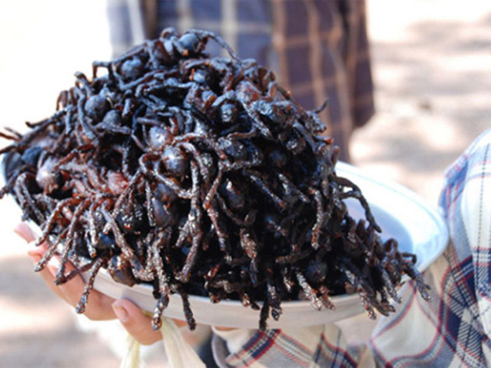 Đối với những người chưa bao giờ ăn món này, người dân địa phương khuyên chỉ nên thử ăn chân của nhện cho an toàn, bởi phần bụng còn chứa nội tạng và chất dịch không phải ai cũng có thể “thẩm” được.