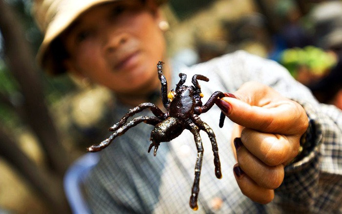 Món ăn này không cần phải qua bất cứ công đoạn sơ chế hay chuẩn bị gì, cũng chẳng có bộ phận nào được bỏ đi cả nên sau khi hoàn thành nhìn chúng vẫn chẳng khác gì một con nhện còn sống.