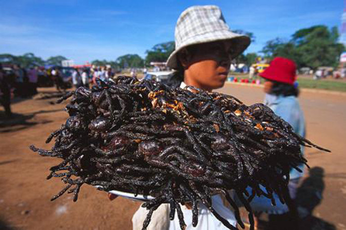 Sau khi bắt được nhện từ hang của chúng, người ta sẽ ướp chúng với muối, đường và bột ngọt. Một khi ngấm đều gia vị, người ta cho nhện vào một chảo dầu lớn và đảo đều, chiên lên cho tới khi nào chân chúng cứng lại, người chưa bị nứt ra là có thể ăn được.