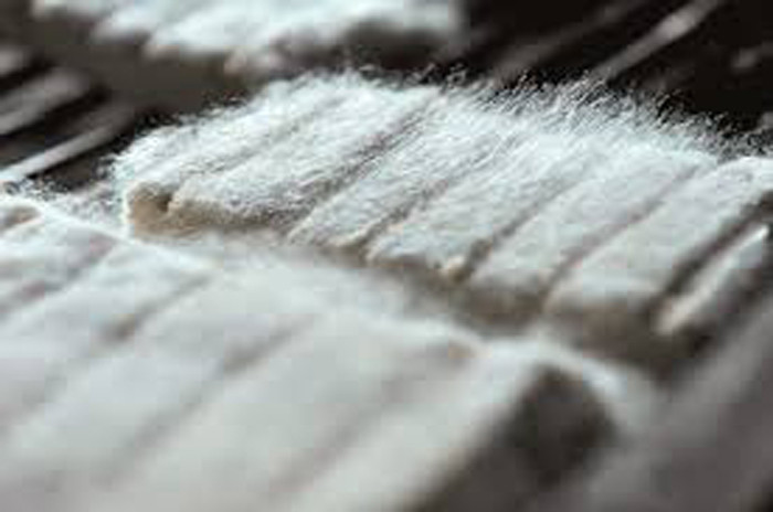 Một trong những món ăn lông lá, bốc mùi nổi tiếng giới sành ăn chính là món đậu phụ lông Trung Quốc. Dù lông lá không hề bắt mắt song nó được xem là món ngon mang tính bước ngoặt.