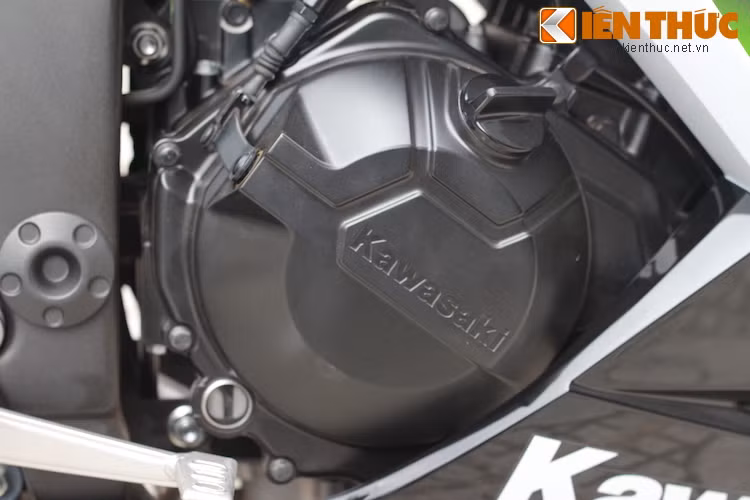 Ninja 300 được trang bị động cơ 296 cc cho công suất 39 mã lực, mô-men xoắn cực đại 29 Nm, có phun xăng điện tử và hộp số 6 cấp.