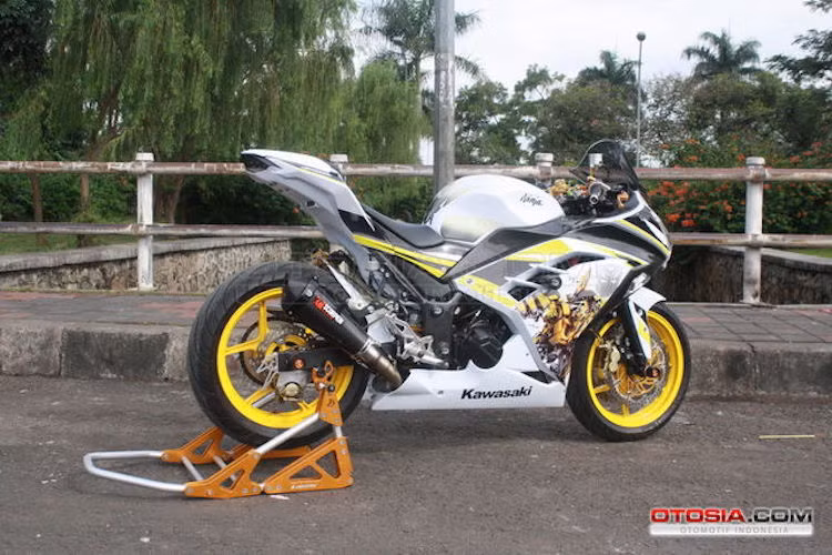 Cuối cùng, pô Scorpion với cổ pô độ đem tới cho chiếc Ninja 300 âm thanh uy lực hơn để tương xứng với kiểu dáng "ngầu" như những chiếc superbike 1000 cc.