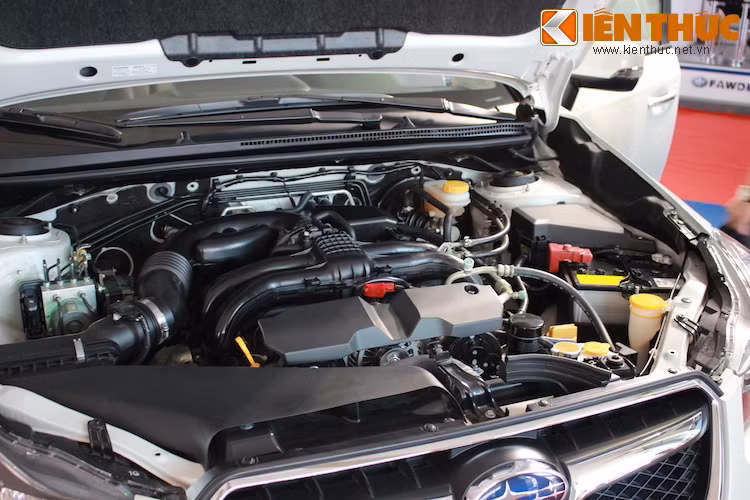 Tại Việt Nam, cả Outback và Legacy 2.5i-S đều được trang bị động cơ Boxer 4 xi-lanh 2.5l (172 mã lực/235 Nm) nạp khí tự nhiên đặc trưng của Subaru. Ngoài ra, Outback còn có thêm bản 3.6R với động cơ Boxer 6 xi-lanh 3.6l mạnh hơn.