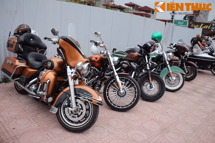 Trong số các mẫu xe có mặt tại lễ khai trương showroom Harley-Davidson mới tại Hà Nội, những chiếc môtô Harley vẫn chiếm số lượng nhiều nhất.