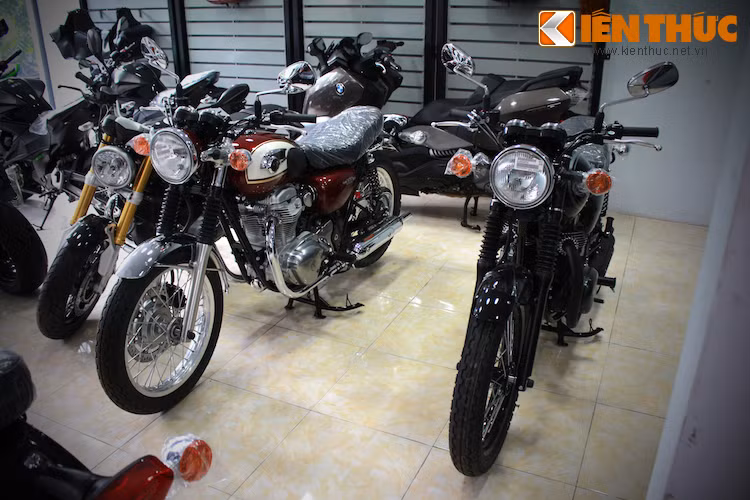 Kawasaki W800 "so dáng" cùng phiên bản thường.