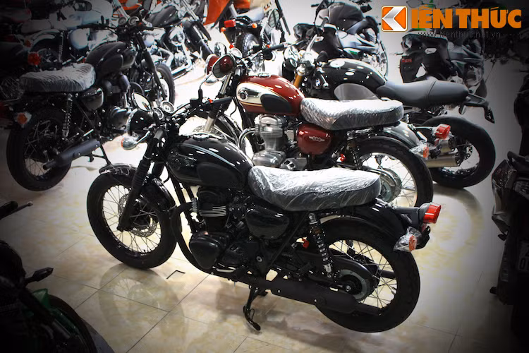 W800 Black Edition là một mẫu xe phân khối lớn "đạo mạo", hợp với tầng lớp khách hàng từ trung niên trở lên.