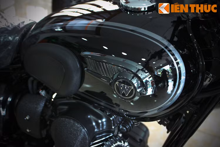 Trên bình xăng là logo cánh chim với chữ "W", gợi nhớ về chiếc Kawasaki W1. Thay vì mạ chrome bạc, W800 có cánh chim được mạ chrome đen.