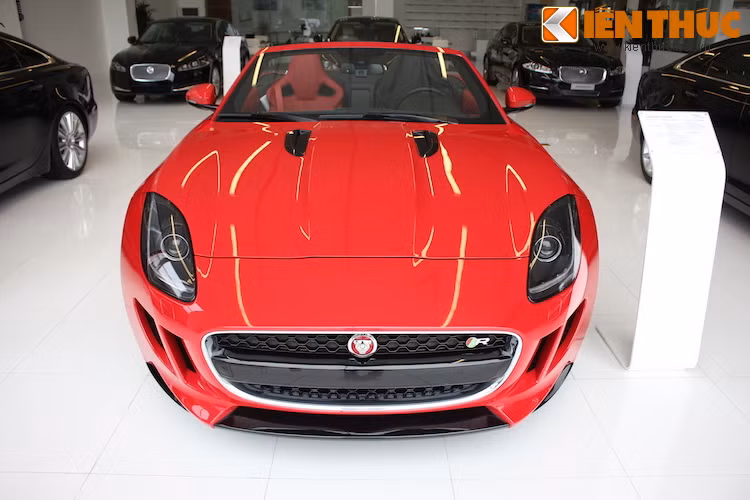 Thiết kế của F-Type R Convertible mang đậm chất thể thao với cụm lưới tản nhiệt lớn, các khe hút gió làm mát dạng "mang cá mập" ở hai bên và cặp đèn pha LED kết hợp bóng xenon vuốt ngược về phía sau.
