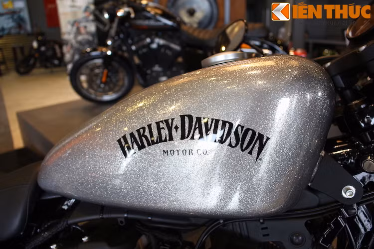 Điểm đặc biệt của phiên bản Iron 883 trong bài viết này đó là nó có tuỳ chọn màu sơn bạc ánh kim Quicksilver Metalflake mà Harley-Davidson gọi bằng cái tên "Hard Candy". Chỉ riêng tuỳ chọn này cũng có giá lên tới 16,8 triệu đồng.