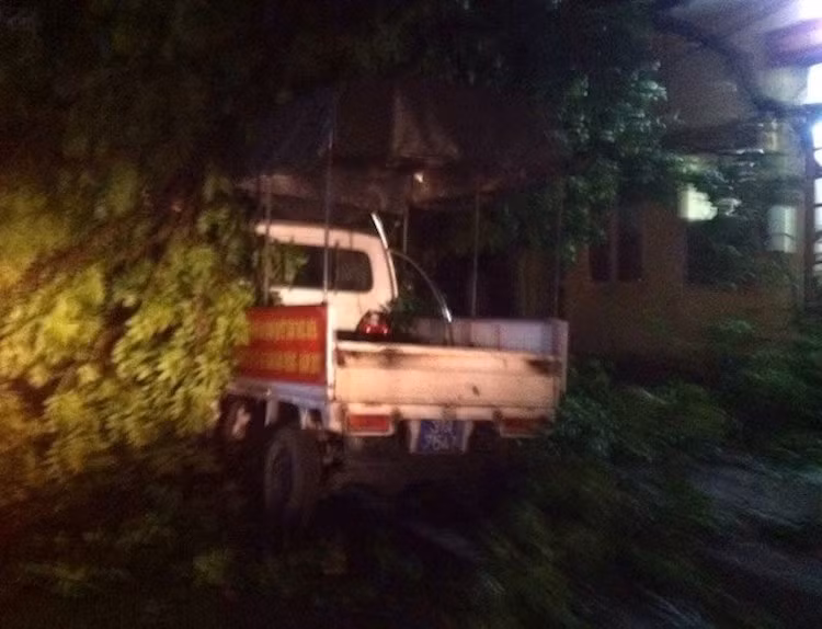 Cây đổ đè vào một chiếc xe tải nhỏ trong trụ sở công an phường.