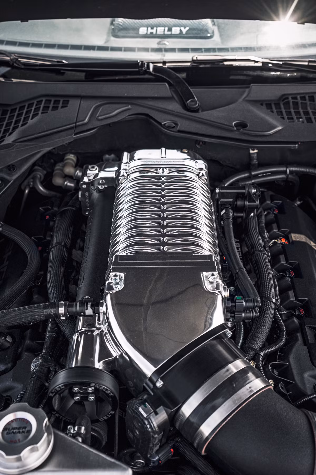 Bên dưới nắp ca-pô, khối động cơ Coyote 5.0l V8 nạp khí tự nhiên đã được trang bị thêm một bộ siêu nạp "khổng lồ"